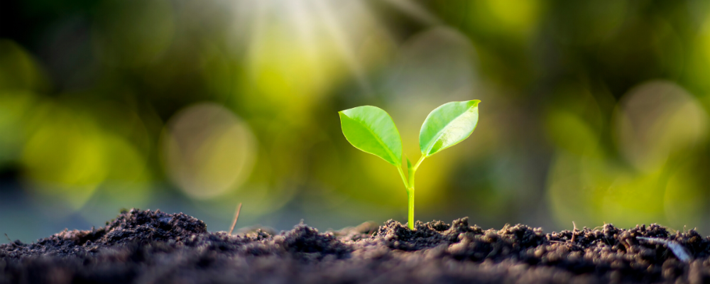 Three ways sustainable packaging can help you save money.